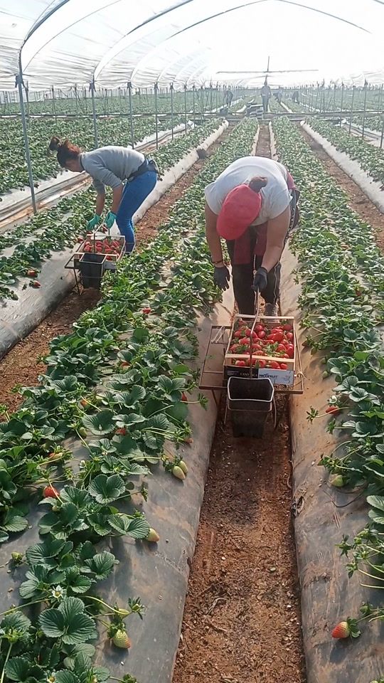 TikTok video thumbnail by mihaela8194