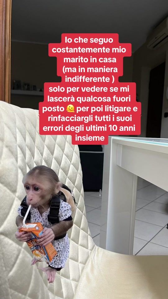 TikTok video thumbnail by ro.gio_