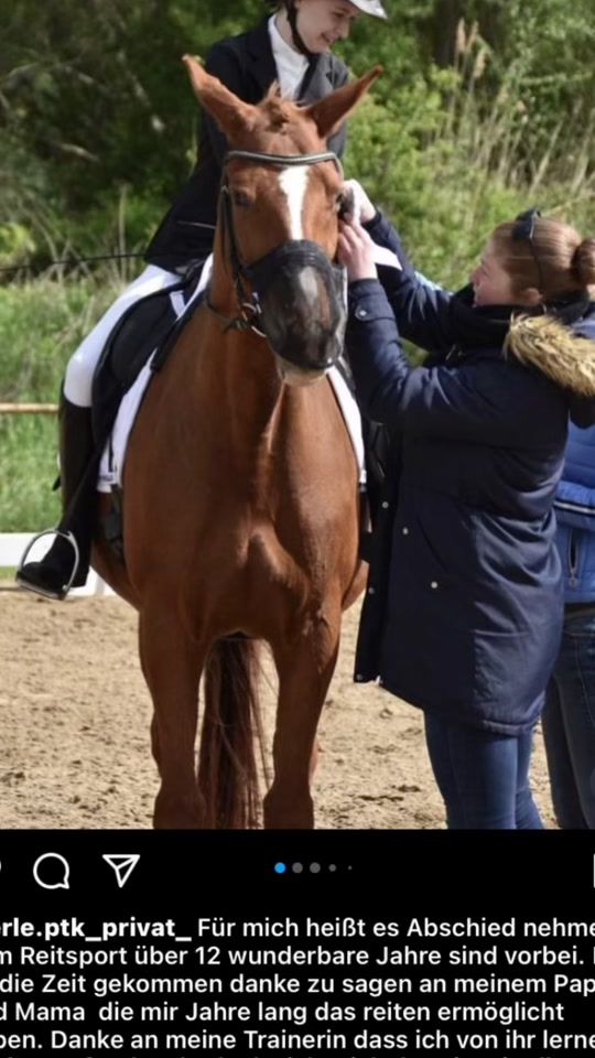 TikTok video thumbnail by merle_equestrianlife