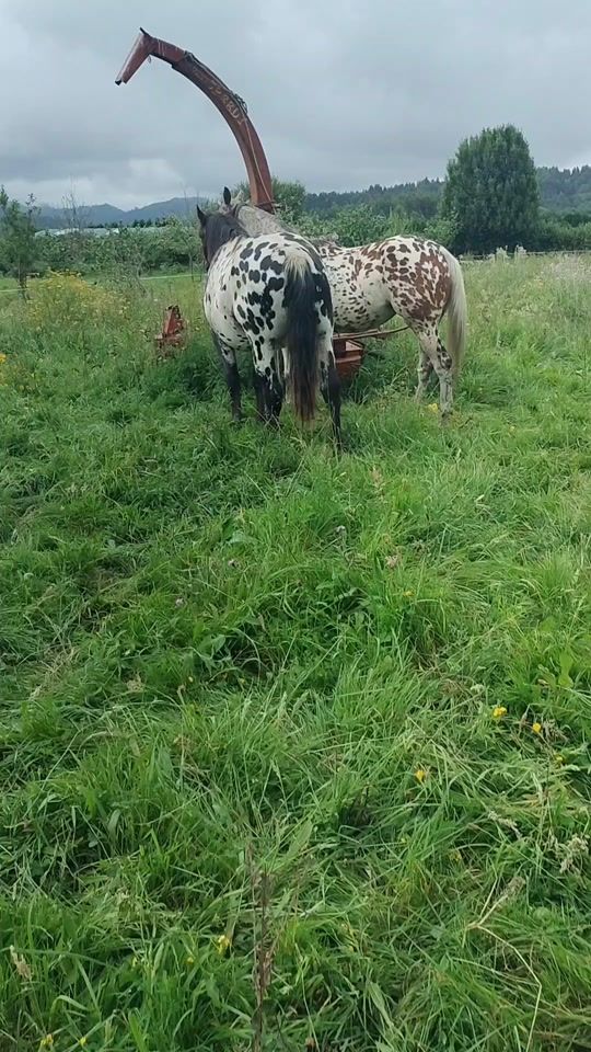TikTok video thumbnail by kike29asturias