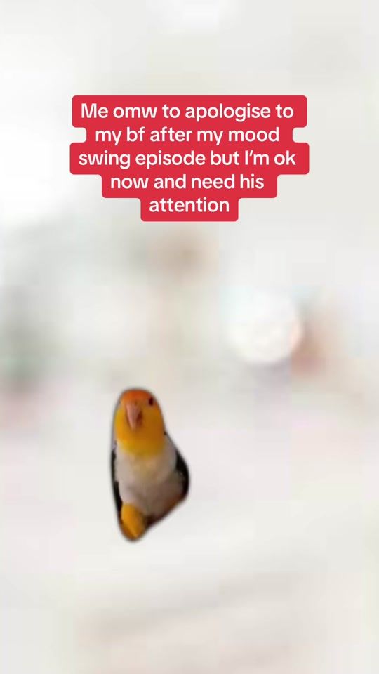 TikTok video thumbnail by amyxo103