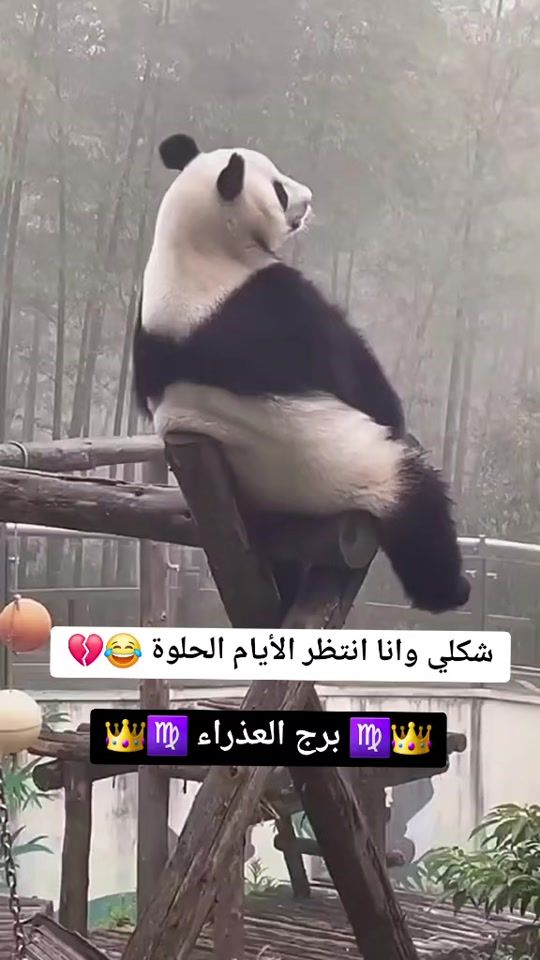 TikTok video thumbnail by 000whiteheart000