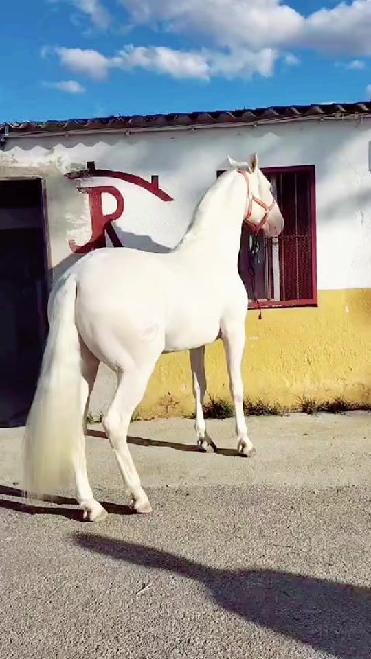 TikTok video thumbnail by cuadra_jr