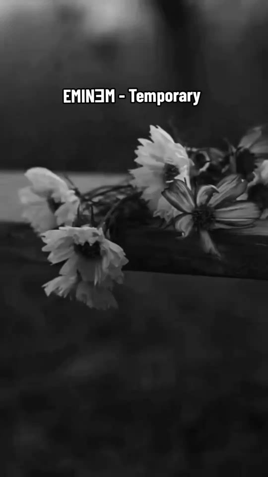 TikTok video thumbnail by shadys._313