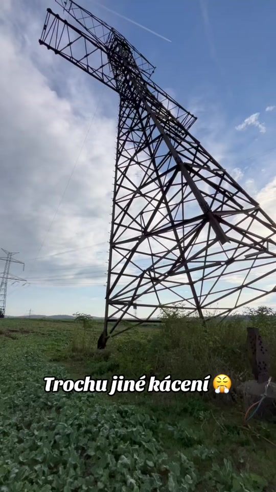 TikTok video thumbnail by _tree__power_master_