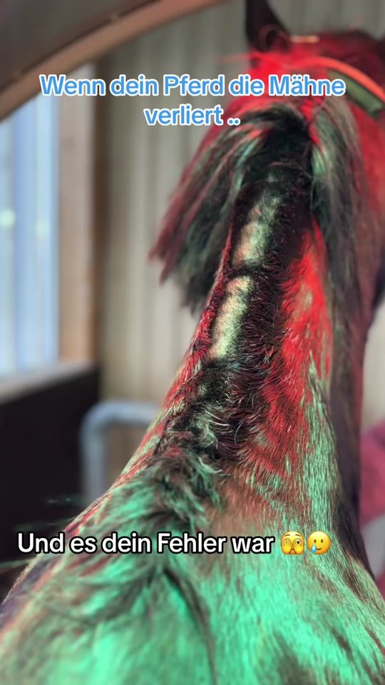 TikTok video thumbnail by made_moiselle_0605