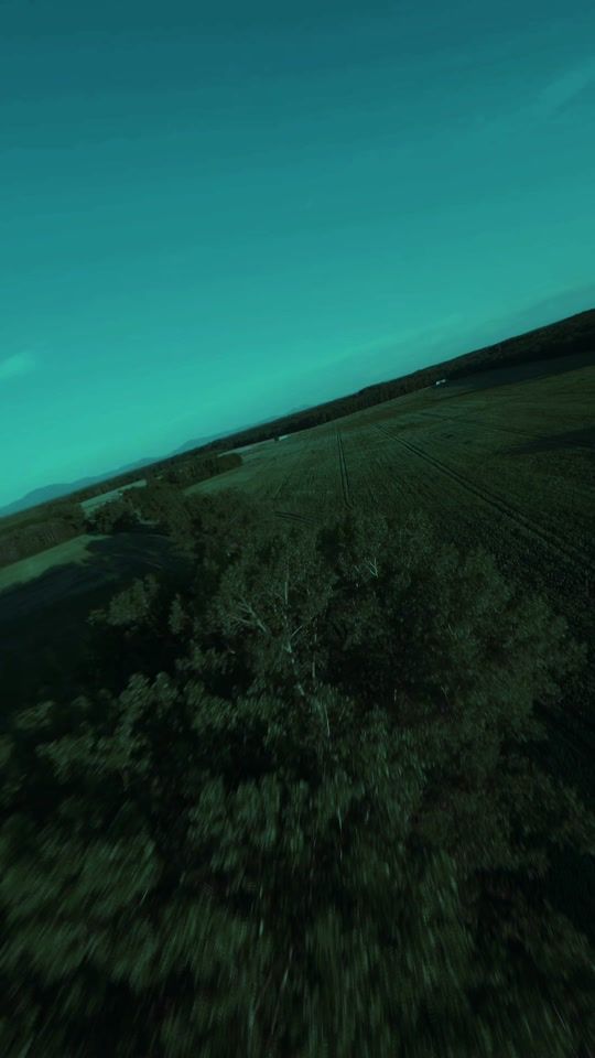 TikTok video thumbnail by song.lyrics.verse