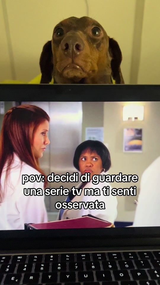 TikTok video thumbnail by pergliamicinello