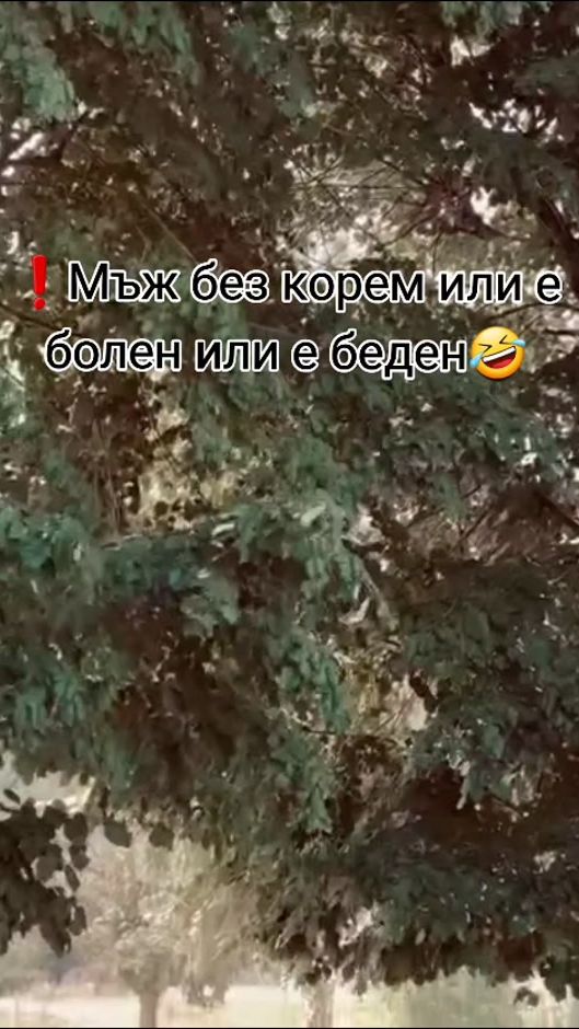 TikTok video thumbnail by stoyanov_e60