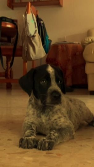 TikTok video thumbnail by leyreecaanto