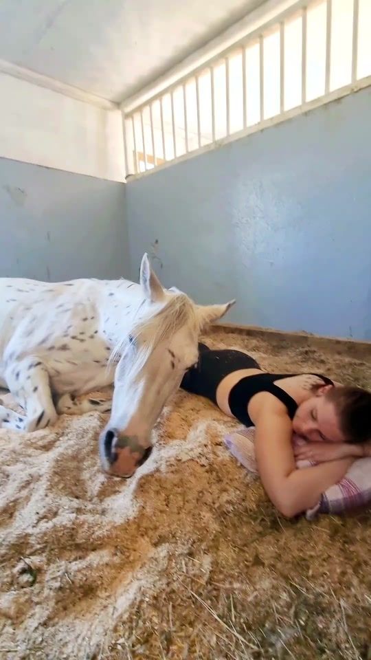 TikTok video thumbnail by appy_equine