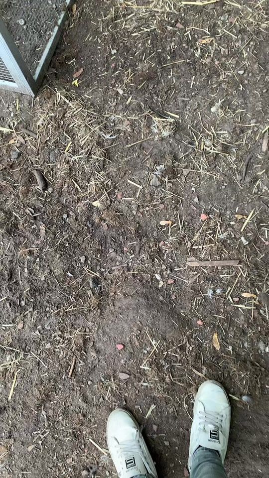 TikTok video thumbnail by party_girl_brendy