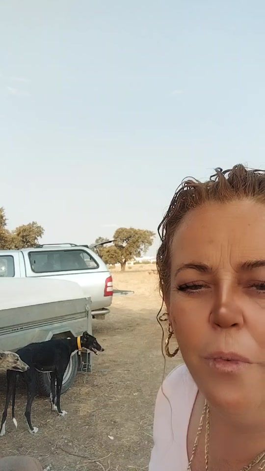 TikTok video thumbnail by soniachula55
