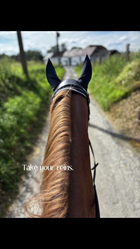 TikTok video thumbnail by _aliine__