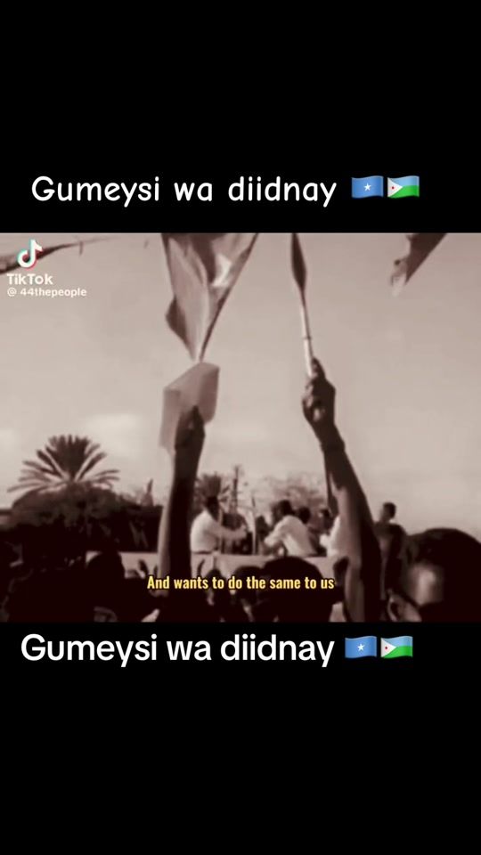 TikTok video thumbnail by dhib_diid