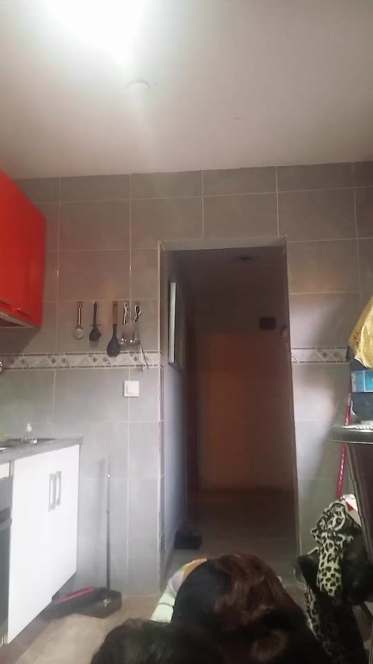 TikTok video thumbnail by libernava