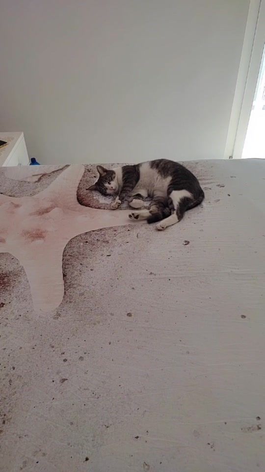 TikTok video thumbnail by alina79inna