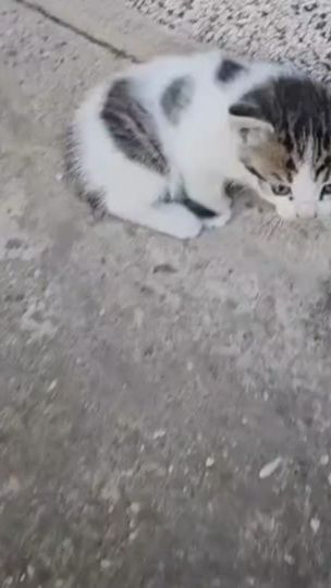 TikTok video thumbnail by kawcaat