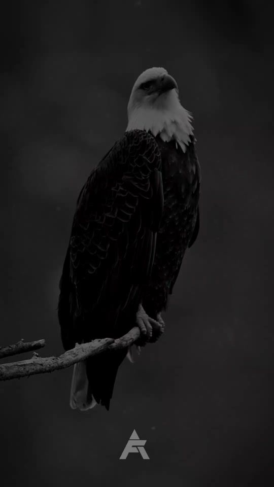 TikTok video thumbnail by fai.motivation