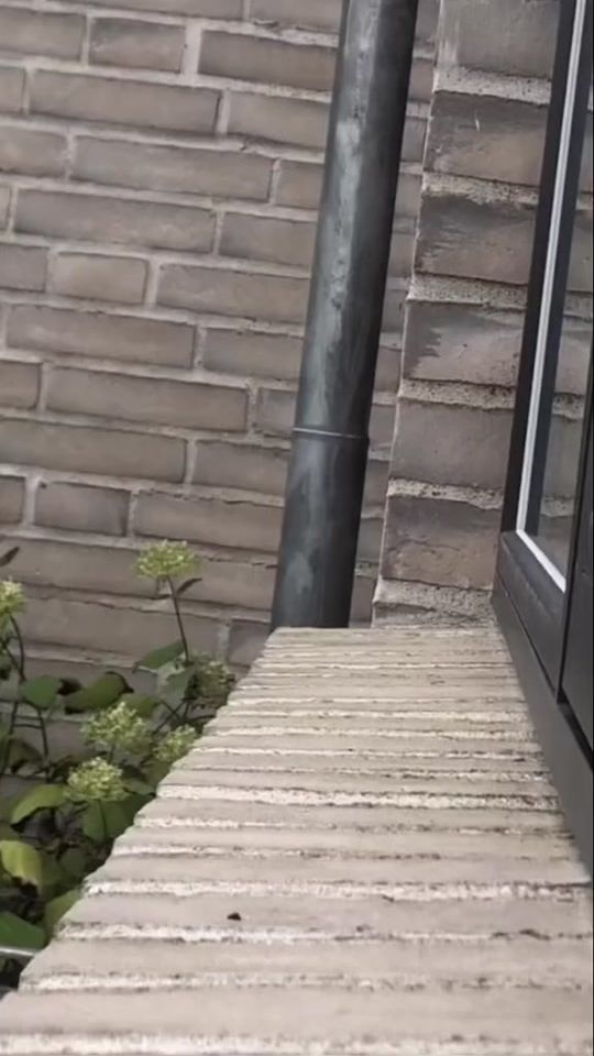 TikTok video thumbnail by the.aesthetic.drinks