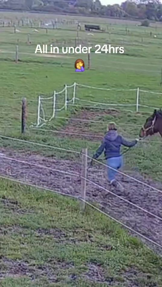 TikTok video thumbnail by em0880