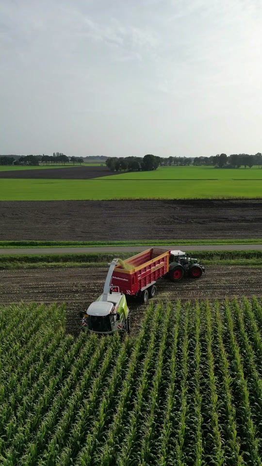 TikTok video thumbnail by semveurinkk