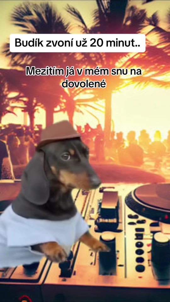 TikTok video thumbnail by hannapalatova
