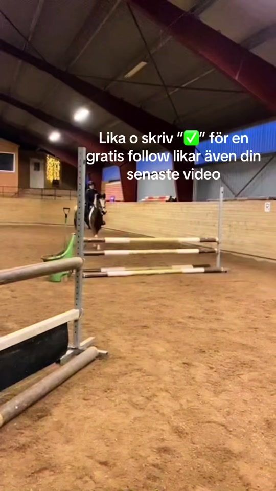 TikTok video thumbnail by equi_lilly1
