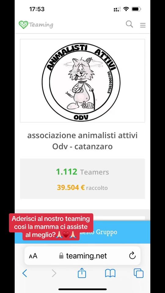 TikTok video thumbnail by animalistiattiviodv
