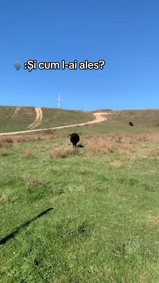 TikTok video thumbnail by flory20___0