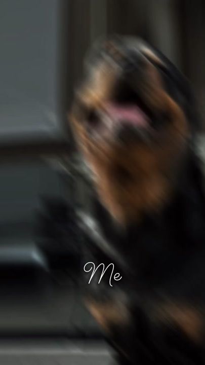 TikTok video thumbnail by frida19842