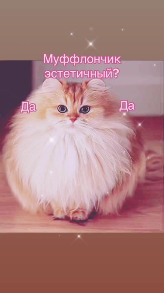 TikTok video thumbnail by mflonn