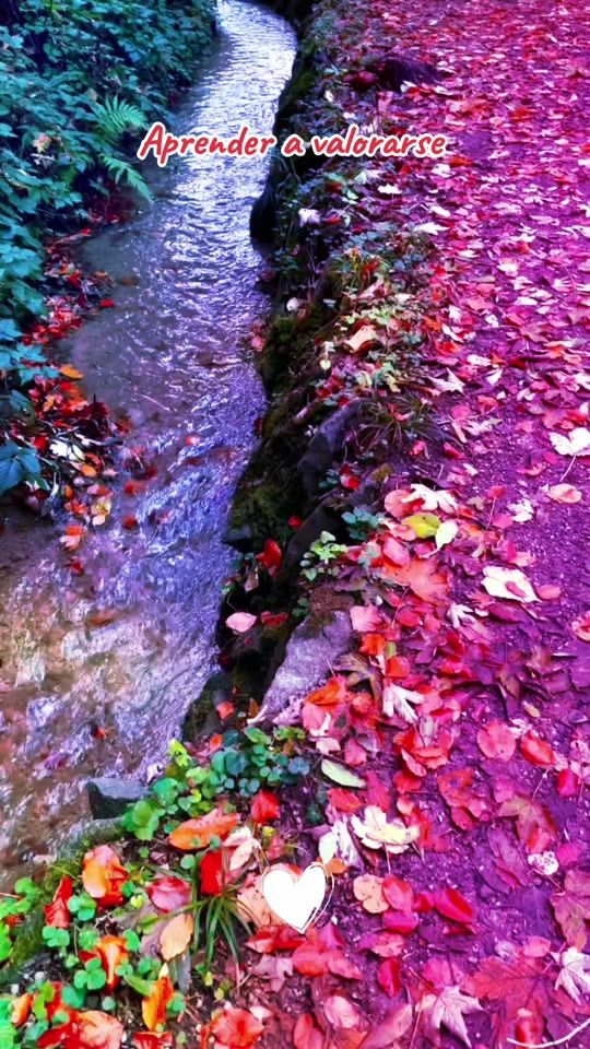 TikTok video thumbnail by vanessa_cl81