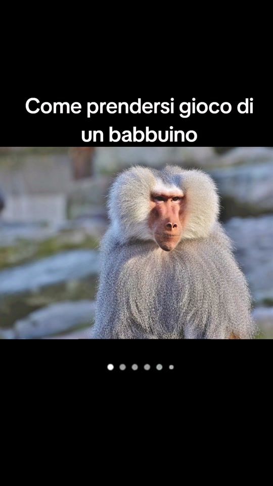 TikTok video thumbnail by rensocampana