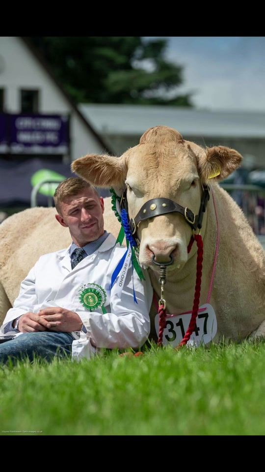 TikTok video thumbnail by seanmitchell15