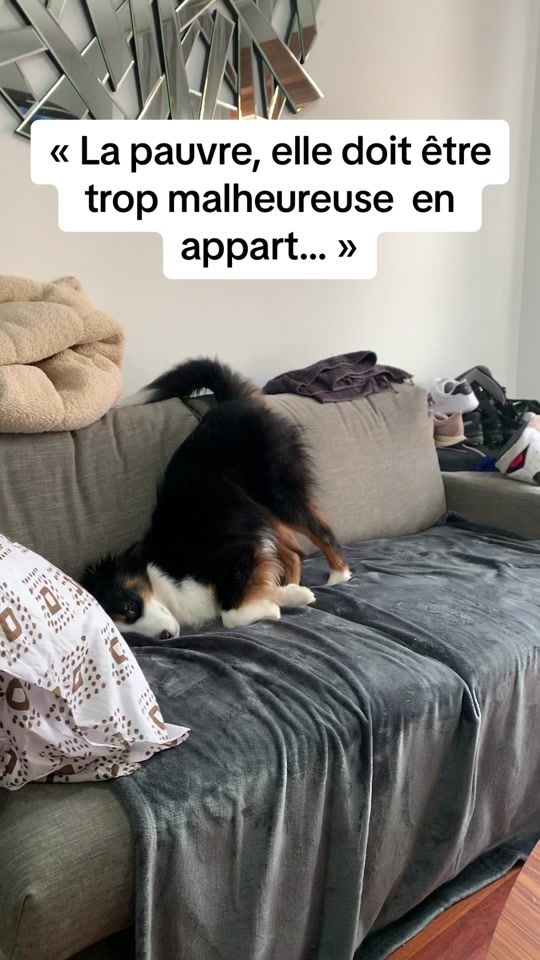 TikTok video thumbnail by vetlunaa