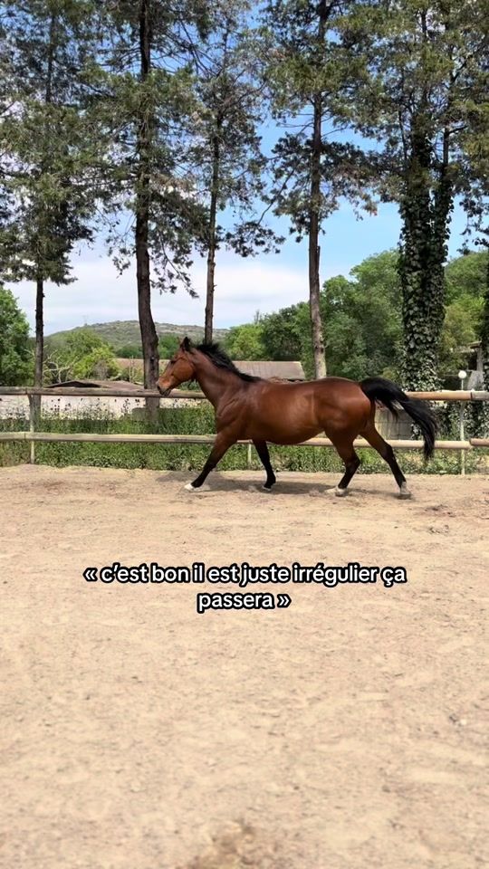 TikTok video thumbnail by lou.edg
