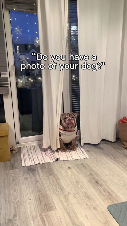 TikTok video thumbnail by brunothemeatloaf