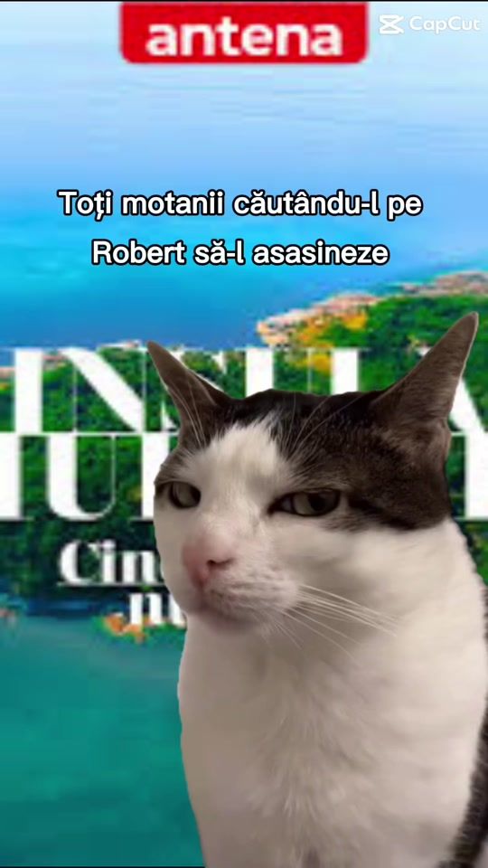 TikTok video thumbnail by biancapanaetache3