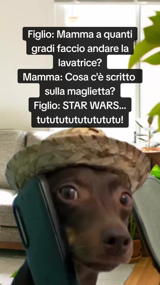 TikTok video thumbnail by memefollia