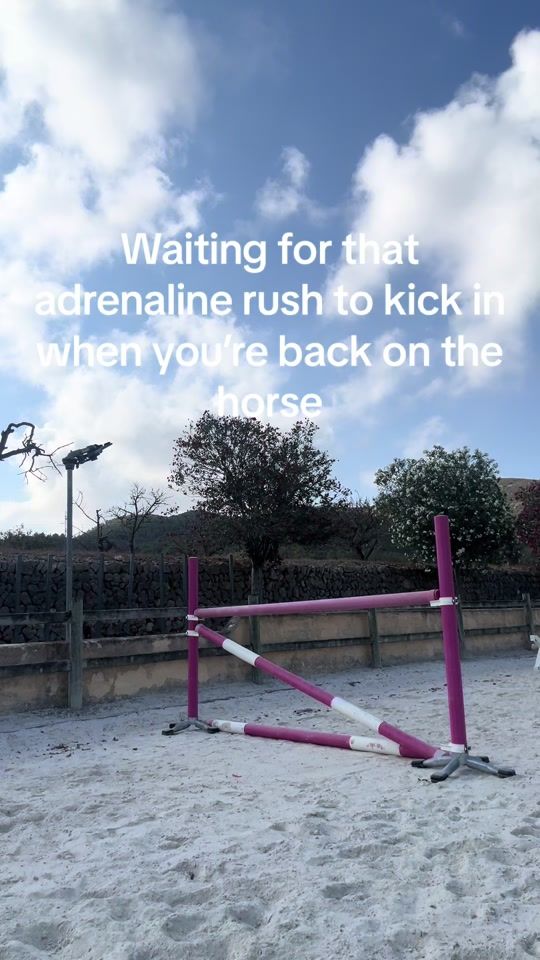 TikTok video thumbnail by avaconnershowjumping