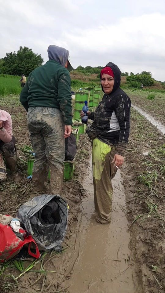 TikTok video thumbnail by madalinacristea93