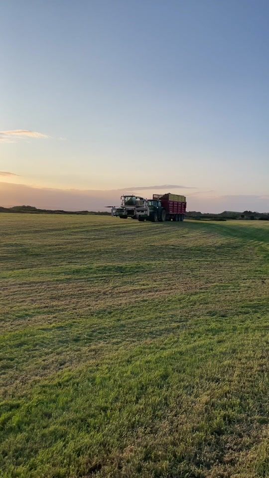 TikTok video thumbnail by psteele123