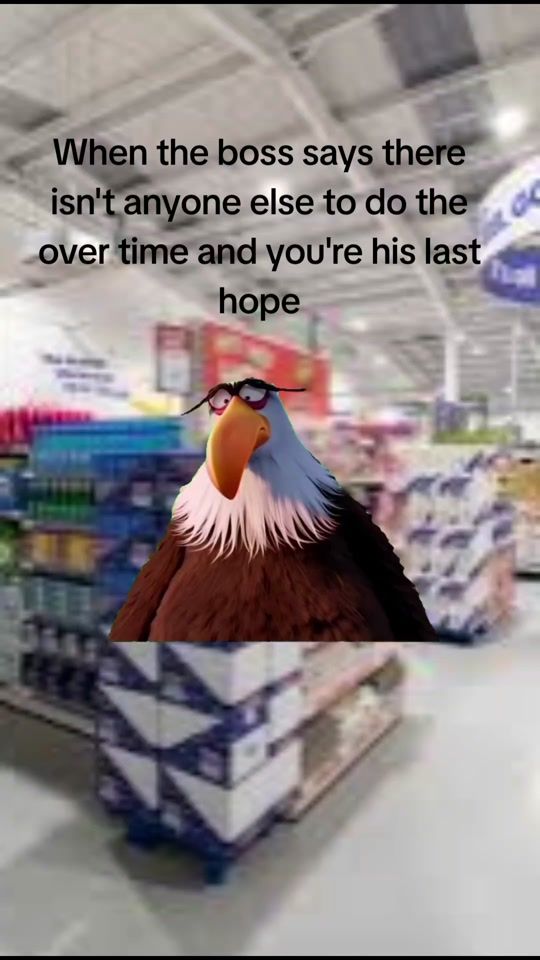 TikTok video thumbnail by amtis23