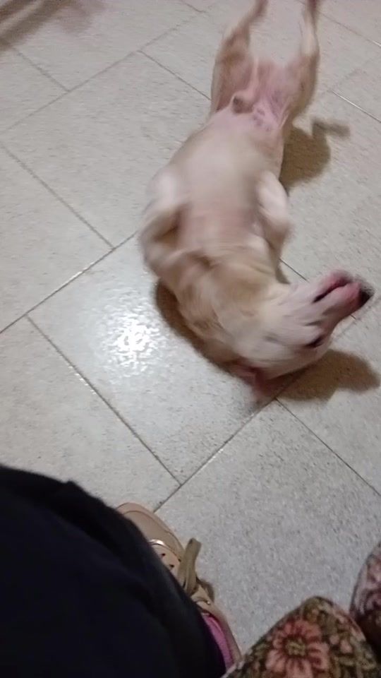 TikTok video thumbnail by giovannamelillo