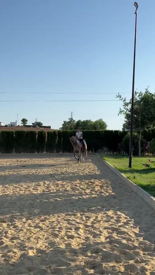 TikTok video thumbnail by mangelescubero