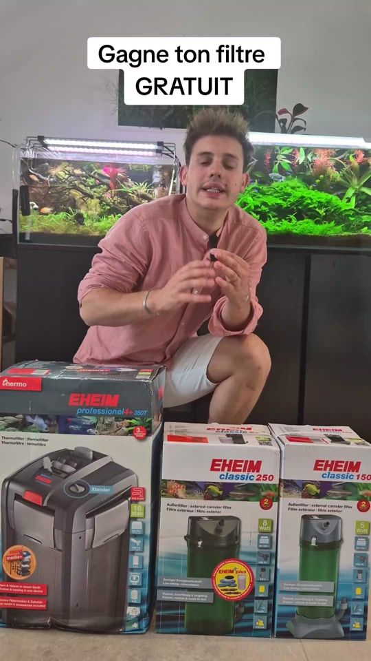 TikTok video thumbnail by laquariumdenico