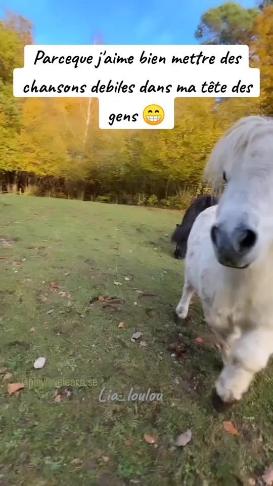 TikTok video thumbnail by lia_loulou