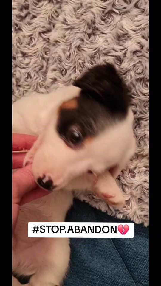 TikTok video thumbnail by robinhogarcia1