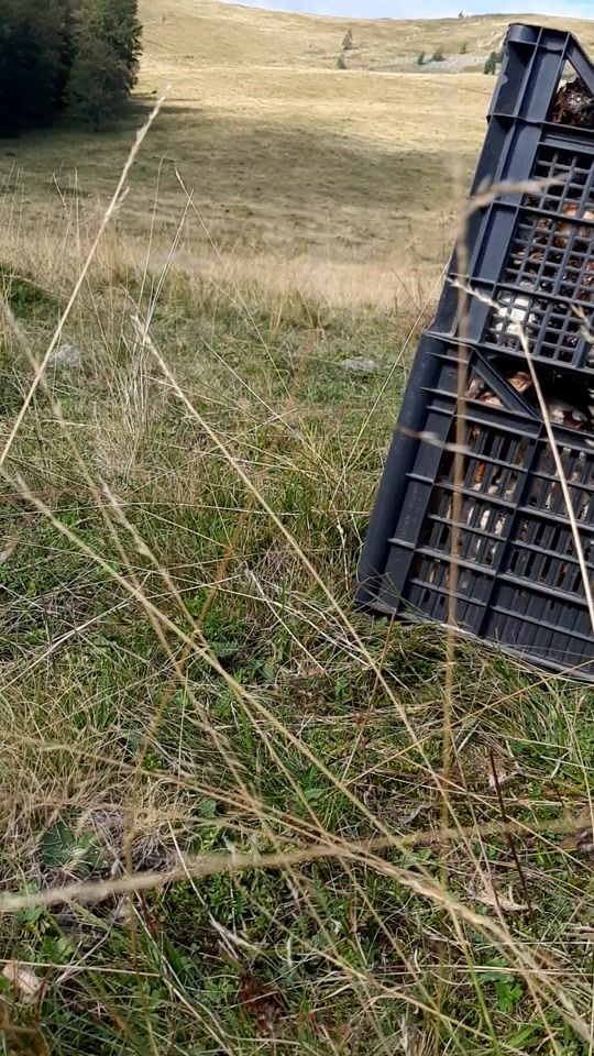 TikTok video thumbnail by maria.alexandra.24